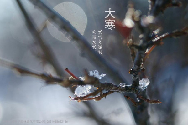 一月份(小寒、大寒)节气园林树木养护措施